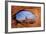 Utah, Arches National Park, Turret Arch Seen Through North Window-David Wall-Framed Photographic Print