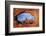 Utah, Arches National Park, Turret Arch Seen Through North Window-David Wall-Framed Photographic Print