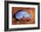 Utah, Arches National Park, Turret Arch Seen Through North Window-David Wall-Framed Photographic Print