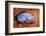 Utah, Arches National Park, Turret Arch Seen Through North Window-David Wall-Framed Photographic Print