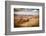 Utah - Ariziona Border, Panorama of the Monument Valley from a Remote Point of View-Francesco Riccardo Iacomino-Framed Photographic Print