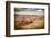 Utah - Ariziona Border, Panorama of the Monument Valley from a Remote Point of View-Francesco Riccardo Iacomino-Framed Photographic Print