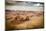 Utah - Ariziona Border, Panorama of the Monument Valley from a Remote Point of View-Francesco Riccardo Iacomino-Mounted Photographic Print