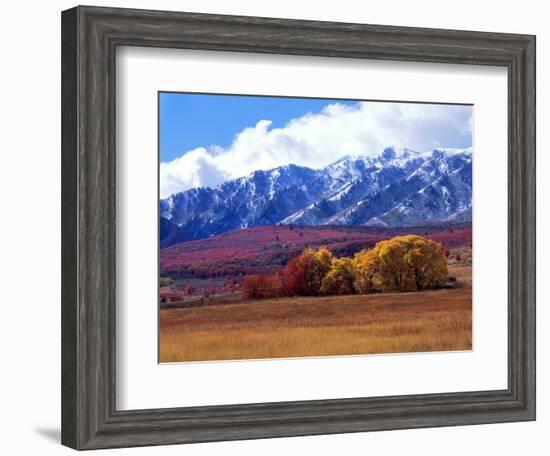 Utah. Autumn Snow on Wellsville Mts Above Maple and Cottonwood Trees-Scott T^ Smith-Framed Photographic Print