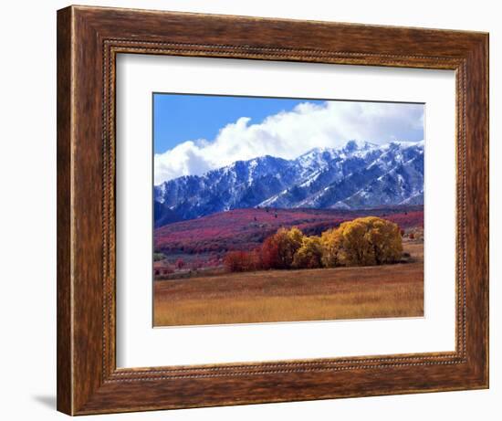 Utah. Autumn Snow on Wellsville Mts Above Maple and Cottonwood Trees-Scott T^ Smith-Framed Photographic Print