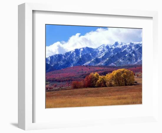 Utah. Autumn Snow on Wellsville Mts Above Maple and Cottonwood Trees-Scott T^ Smith-Framed Photographic Print