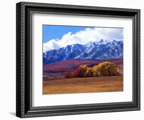 Utah. Autumn Snow on Wellsville Mts Above Maple and Cottonwood Trees-Scott T^ Smith-Framed Photographic Print