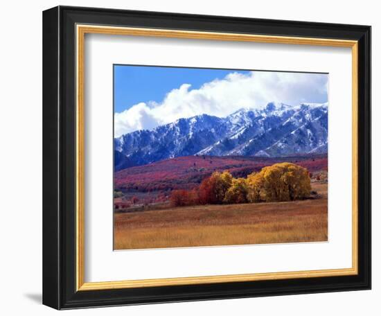 Utah. Autumn Snow on Wellsville Mts Above Maple and Cottonwood Trees-Scott T^ Smith-Framed Photographic Print