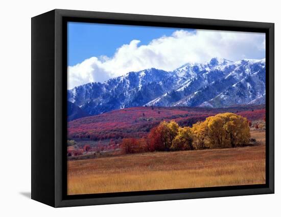 Utah. Autumn Snow on Wellsville Mts Above Maple and Cottonwood Trees-Scott T^ Smith-Framed Premier Image Canvas