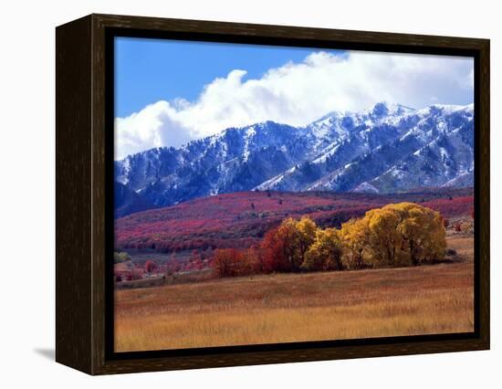 Utah. Autumn Snow on Wellsville Mts Above Maple and Cottonwood Trees-Scott T^ Smith-Framed Premier Image Canvas