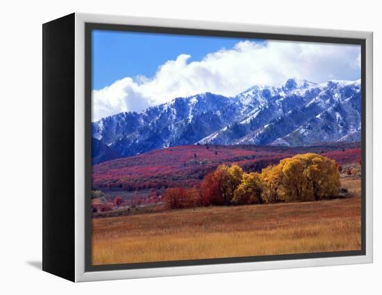 Utah. Autumn Snow on Wellsville Mts Above Maple and Cottonwood Trees-Scott T^ Smith-Framed Premier Image Canvas