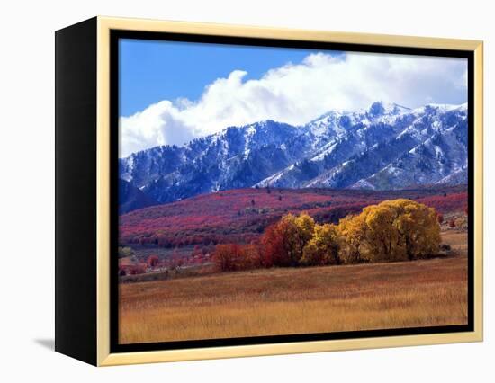 Utah. Autumn Snow on Wellsville Mts Above Maple and Cottonwood Trees-Scott T^ Smith-Framed Premier Image Canvas