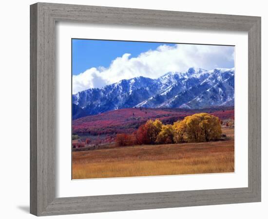 Utah. Autumn Snow on Wellsville Mts Above Maple and Cottonwood Trees-Scott T^ Smith-Framed Photographic Print