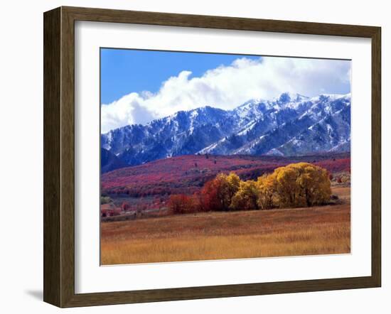 Utah. Autumn Snow on Wellsville Mts Above Maple and Cottonwood Trees-Scott T^ Smith-Framed Photographic Print