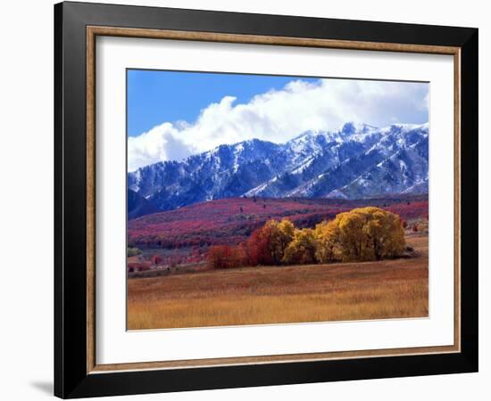 Utah. Autumn Snow on Wellsville Mts Above Maple and Cottonwood Trees-Scott T^ Smith-Framed Photographic Print