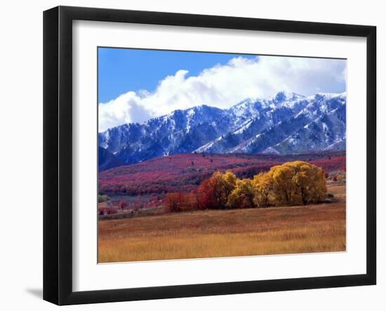 Utah. Autumn Snow on Wellsville Mts Above Maple and Cottonwood Trees-Scott T^ Smith-Framed Photographic Print