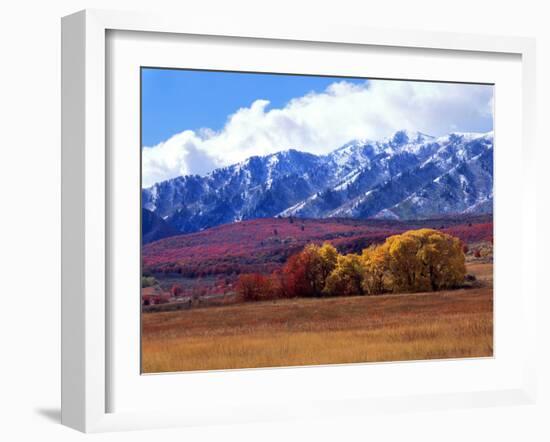 Utah. Autumn Snow on Wellsville Mts Above Maple and Cottonwood Trees-Scott T^ Smith-Framed Photographic Print