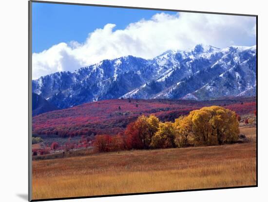 Utah. Autumn Snow on Wellsville Mts Above Maple and Cottonwood Trees-Scott T^ Smith-Mounted Photographic Print