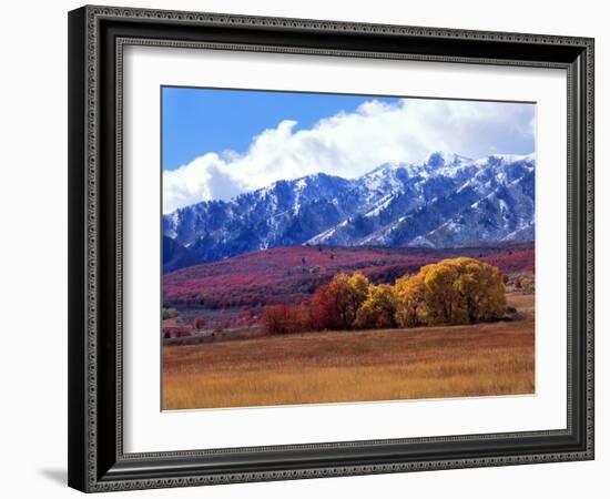 Utah. Autumn Snow on Wellsville Mts Above Maple and Cottonwood Trees-Scott T^ Smith-Framed Photographic Print