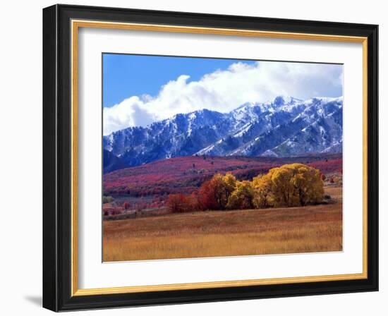 Utah. Autumn Snow on Wellsville Mts Above Maple and Cottonwood Trees-Scott T^ Smith-Framed Photographic Print