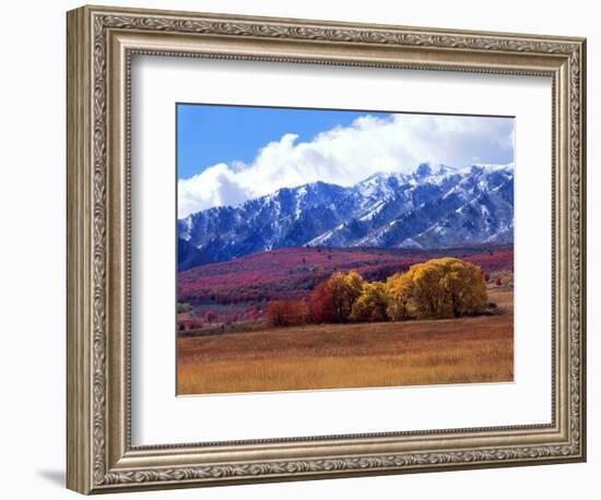 Utah. Autumn Snow on Wellsville Mts Above Maple and Cottonwood Trees-Scott T^ Smith-Framed Premium Photographic Print