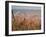 Utah Beach, Calvados, France-David Hughes-Framed Photographic Print