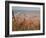 Utah Beach, Calvados, France-David Hughes-Framed Photographic Print