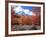 Utah. Bigtooth Maple Trees in Autumn in the Wellsville Mountains-Scott T. Smith-Framed Photographic Print