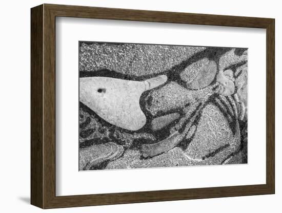 Utah. Black and White Image of Abstract Design of Frozen Bubble Patterns in Stream, Near Moab-Judith Zimmerman-Framed Photographic Print