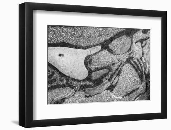 Utah. Black and White Image of Abstract Design of Frozen Bubble Patterns in Stream, Near Moab-Judith Zimmerman-Framed Photographic Print