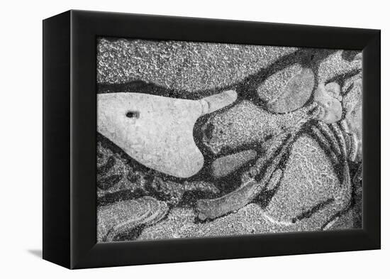 Utah. Black and White Image of Abstract Design of Frozen Bubble Patterns in Stream, Near Moab-Judith Zimmerman-Framed Premier Image Canvas