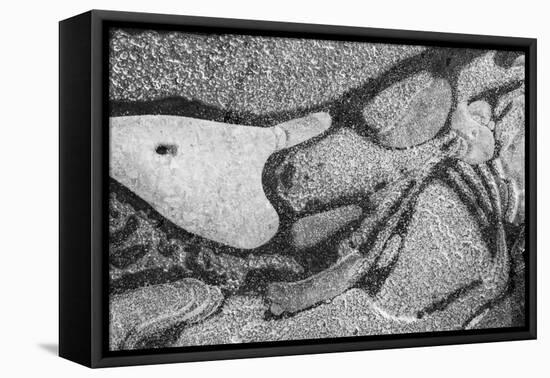 Utah. Black and White Image of Abstract Design of Frozen Bubble Patterns in Stream, Near Moab-Judith Zimmerman-Framed Premier Image Canvas