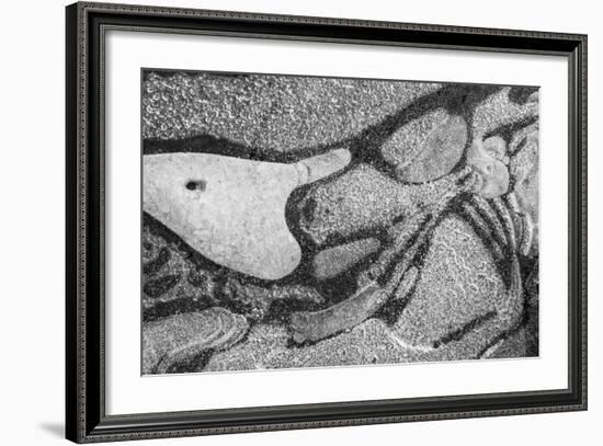 Utah. Black and White Image of Abstract Design of Frozen Bubble Patterns in Stream, Near Moab-Judith Zimmerman-Framed Photographic Print