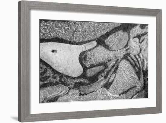 Utah. Black and White Image of Abstract Design of Frozen Bubble Patterns in Stream, Near Moab-Judith Zimmerman-Framed Photographic Print