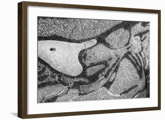 Utah. Black and White Image of Abstract Design of Frozen Bubble Patterns in Stream, Near Moab-Judith Zimmerman-Framed Photographic Print