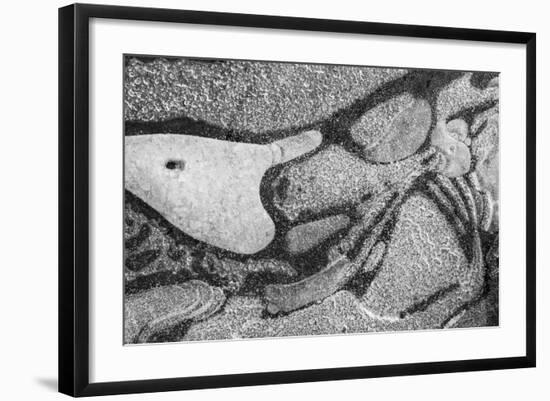 Utah. Black and White Image of Abstract Design of Frozen Bubble Patterns in Stream, Near Moab-Judith Zimmerman-Framed Photographic Print