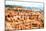 Utah Bryce Canyon II-Philippe Hugonnard-Mounted Giclee Print