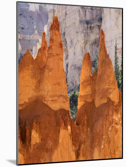 Utah, Bryce Canyon National Park, Bryce Canyon and Hoodoos Along Peekaboo Loop Trail-Jamie And Judy Wild-Mounted Photographic Print