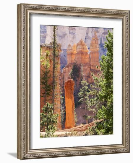 Utah, Bryce Canyon National Park, Bryce Canyon and Hoodoos Along Peekaboo Loop Trail-Jamie And Judy Wild-Framed Photographic Print