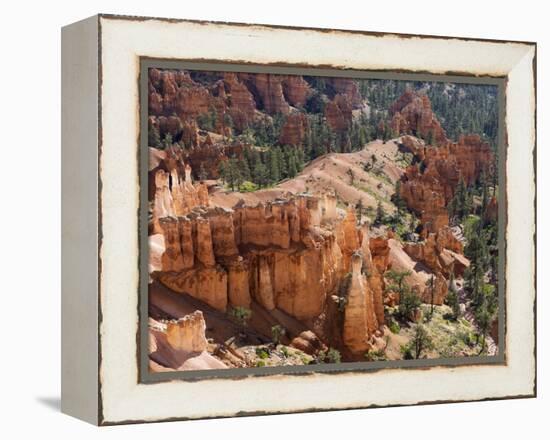 Utah, Bryce Canyon National Park, Bryce Canyon and Hoodoos-Jamie And Judy Wild-Framed Premier Image Canvas