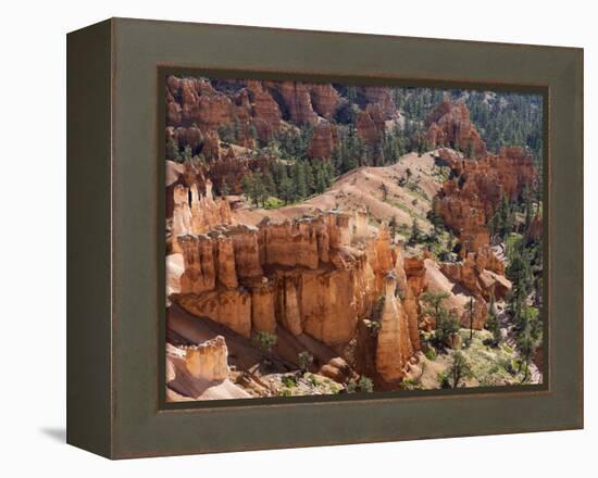 Utah, Bryce Canyon National Park, Bryce Canyon and Hoodoos-Jamie And Judy Wild-Framed Premier Image Canvas