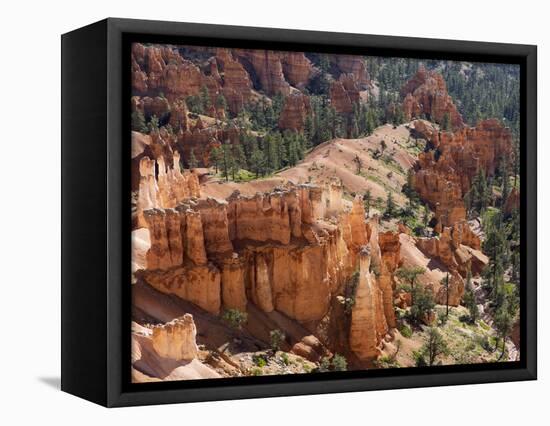Utah, Bryce Canyon National Park, Bryce Canyon and Hoodoos-Jamie And Judy Wild-Framed Premier Image Canvas
