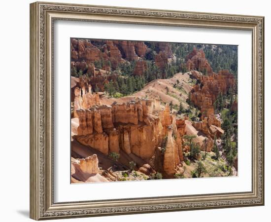 Utah, Bryce Canyon National Park, Bryce Canyon and Hoodoos-Jamie And Judy Wild-Framed Photographic Print