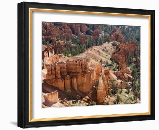 Utah, Bryce Canyon National Park, Bryce Canyon and Hoodoos-Jamie And Judy Wild-Framed Photographic Print