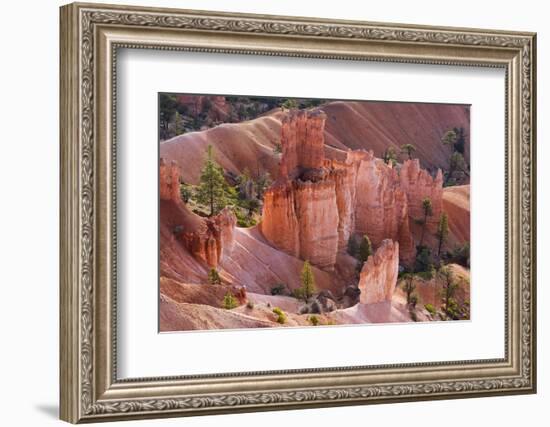 Utah, Bryce Canyon National Park, Bryce Canyon and Hoodoos-Jamie And Judy Wild-Framed Photographic Print