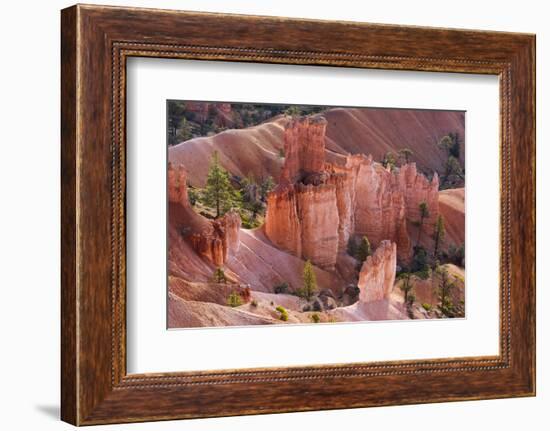 Utah, Bryce Canyon National Park, Bryce Canyon and Hoodoos-Jamie And Judy Wild-Framed Photographic Print