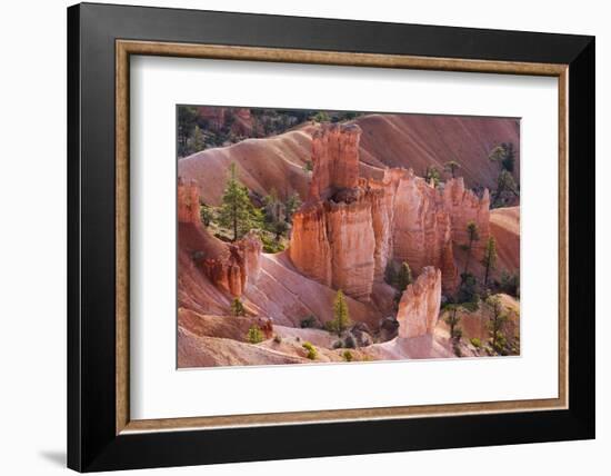 Utah, Bryce Canyon National Park, Bryce Canyon and Hoodoos-Jamie And Judy Wild-Framed Photographic Print