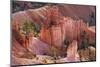 Utah, Bryce Canyon National Park, Bryce Canyon and Hoodoos-Jamie And Judy Wild-Mounted Photographic Print