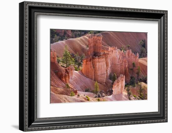 Utah, Bryce Canyon National Park, Bryce Canyon and Hoodoos-Jamie And Judy Wild-Framed Photographic Print