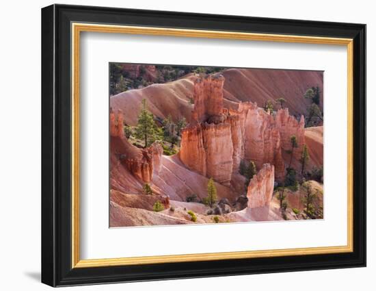 Utah, Bryce Canyon National Park, Bryce Canyon and Hoodoos-Jamie And Judy Wild-Framed Photographic Print